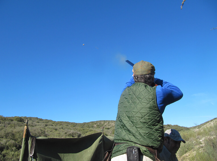 The quick-as-an-arrow red grouse demands a lot from the shotgun shooter.