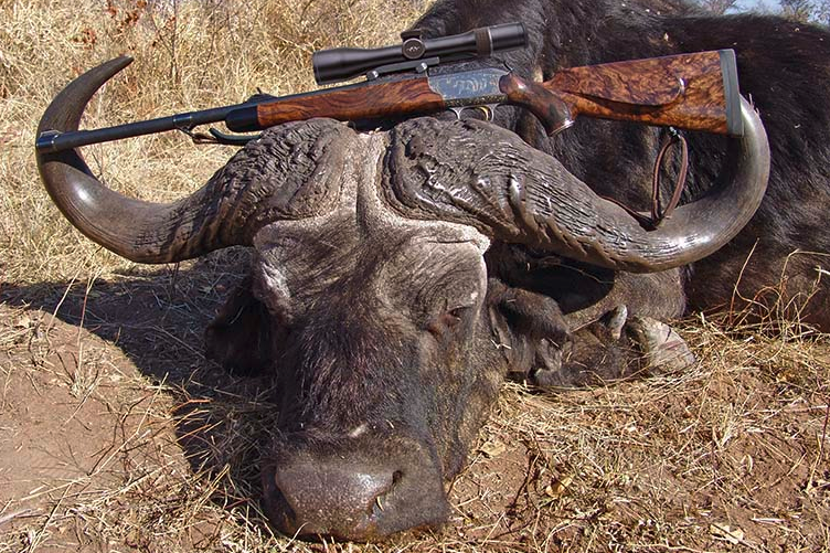 Its reputation is almost legendary: the Zambezi Delta in Mozambique. Nowhere else will you find the huge herds of buffalo that still roam there today.