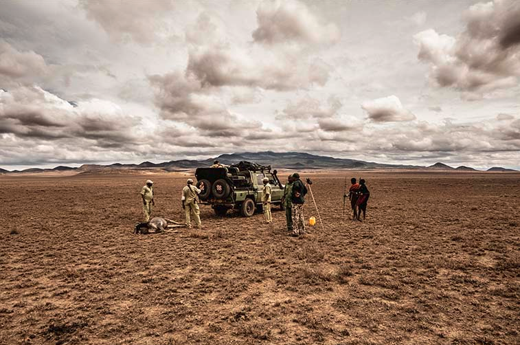 Encounters with the indigenous Maasai in Tanzania are a special experience. They follow the hunting action with great interest. 