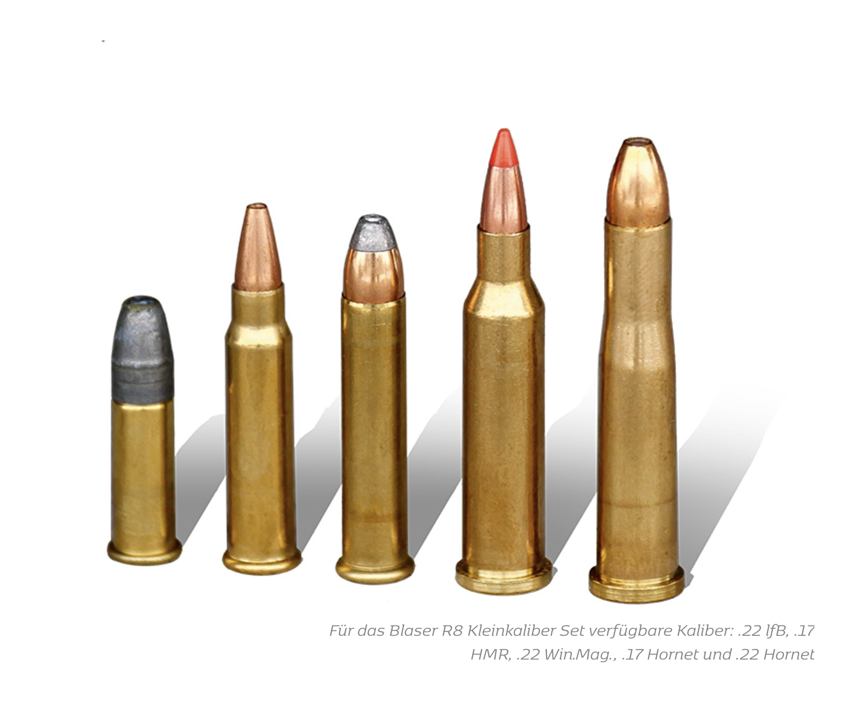 Calibers available for the Blaser R8 small caliber set: .22 lfB, .17 Hornet, .17 HMR, .22 Win.Mag., .22 Hornet