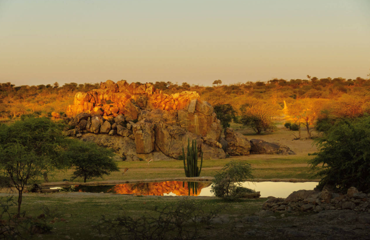 Sunrise at the watering hole in front of the lodge buildings. Here you have a view at any time of day.